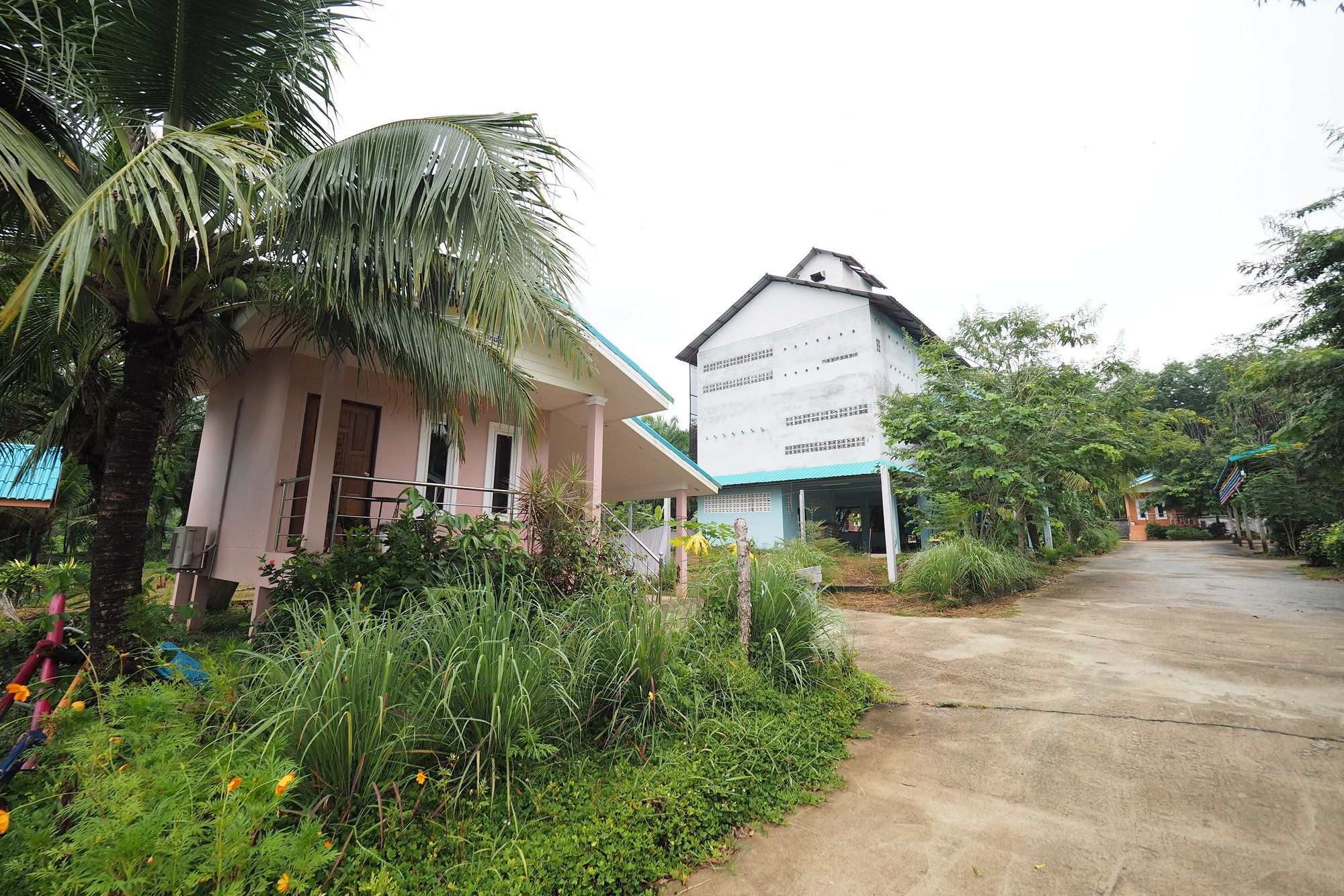 Oyo 75515 Sairung Farmstay 甲米 外观 照片